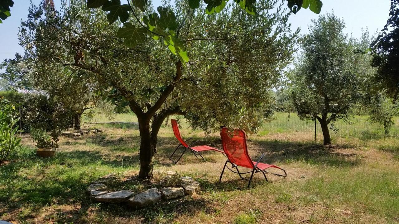 Apartments Vera Barbariga Εξωτερικό φωτογραφία