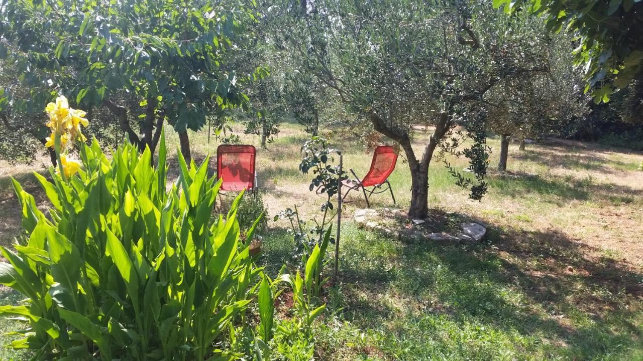 Apartments Vera Barbariga Εξωτερικό φωτογραφία