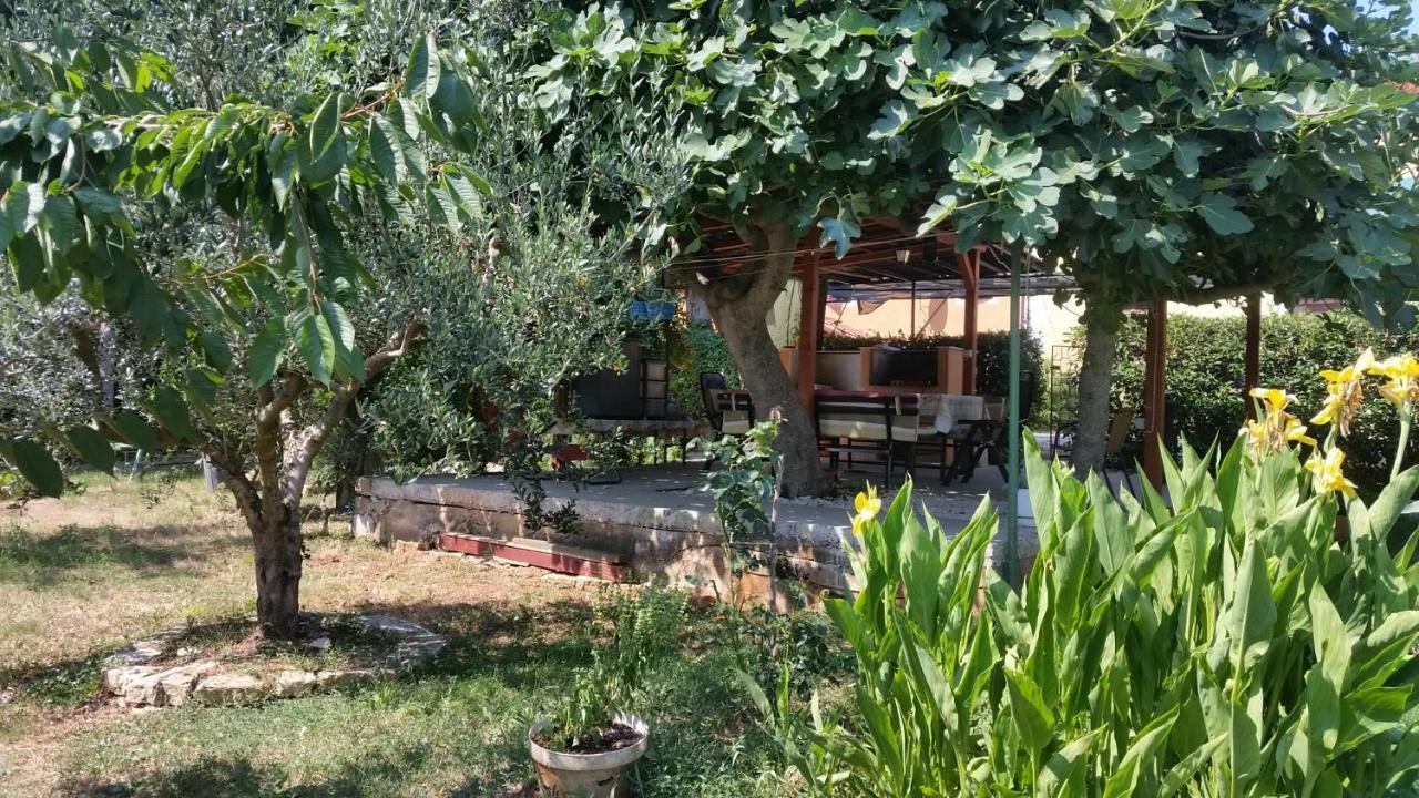Apartments Vera Barbariga Εξωτερικό φωτογραφία